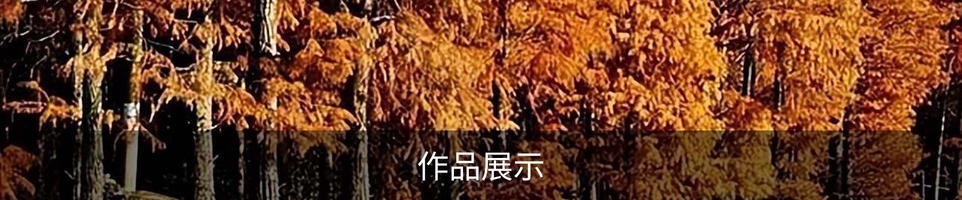 内页banner